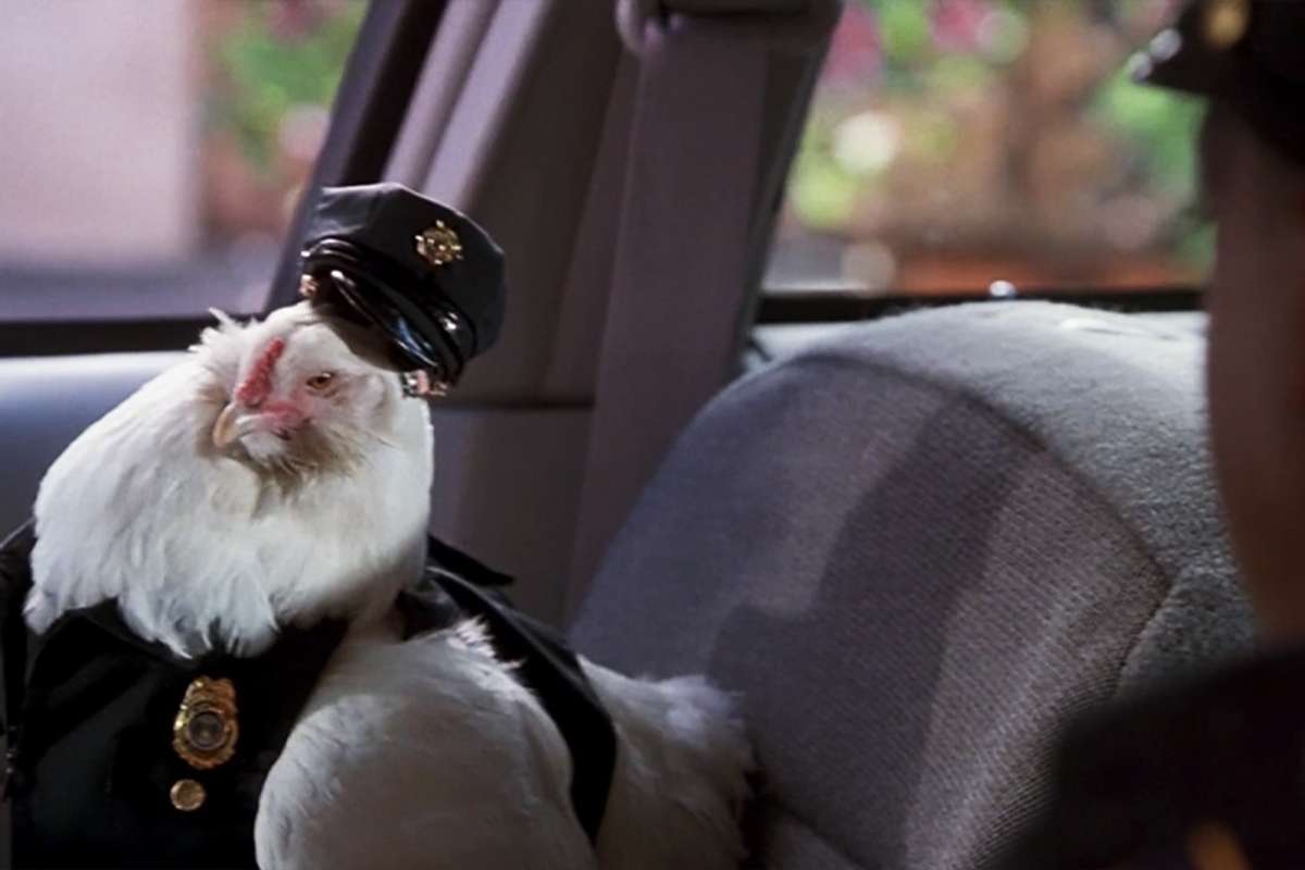 Whitaker sitting in the passenger seat